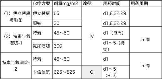 日本胃癌化疗