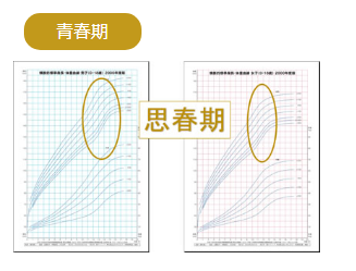 日本骨髓增高