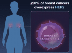 乳腺癌内分泌治疗