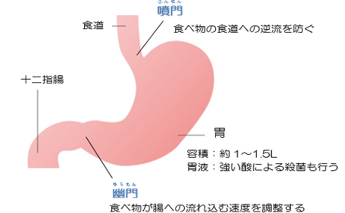 日本胃癌治疗