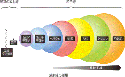 日本群马大学医学部附属医院重离子治疗