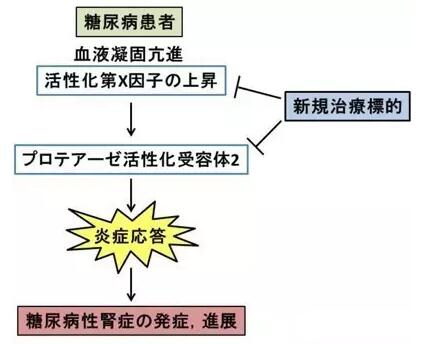 赴日就医，厚朴方舟