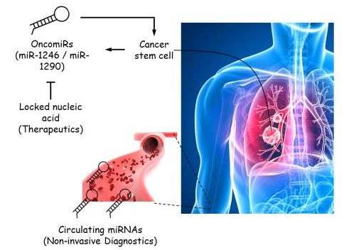 <a href='/'>出国看病</a>，癌症治疗，厚朴方舟