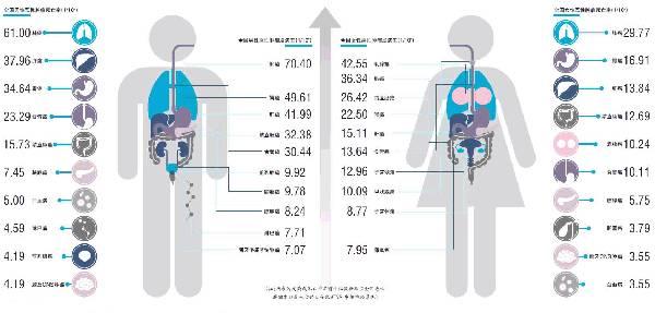 日本体检