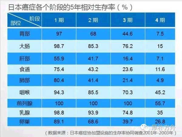 日本体检