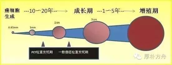 日本体检