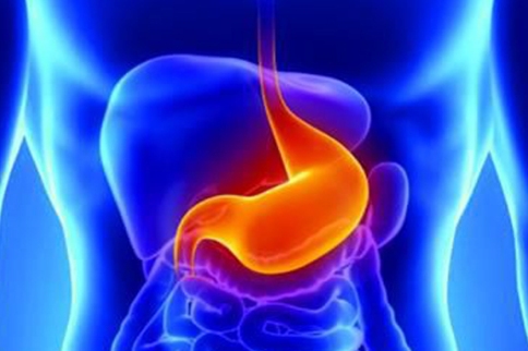胃肠道间质瘤百科