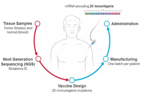 个体化肿瘤疫苗生产
