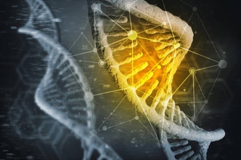 CRISPR基因编辑技能去除HIV病毒DNA