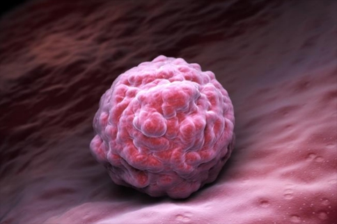 纳米技能准确地对细胞进行特征表征