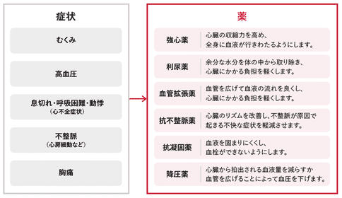 日本如何治疗心脏瓣膜病?日本治疗心脏瓣膜病的方法
