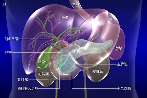 胆囊癌治疗方法