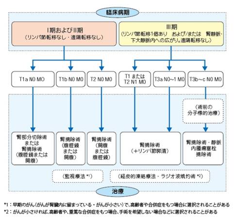 日本肾癌治疗方法