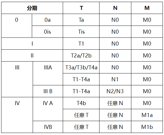 膀胱癌分期标准