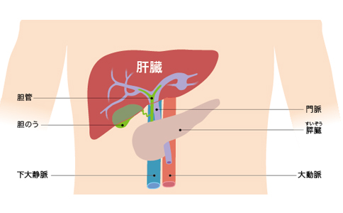 日本肝癌治疗方法