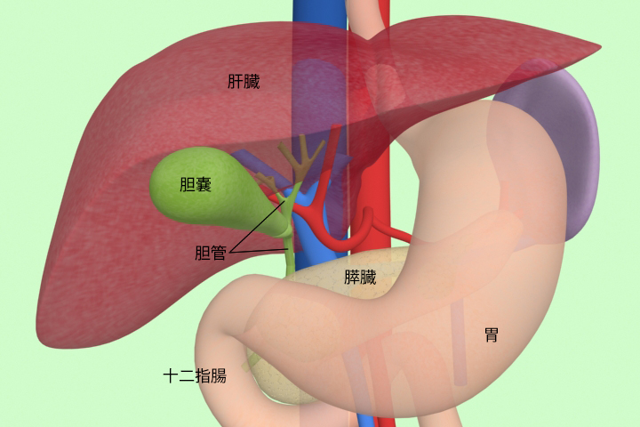 日本胆囊癌治疗方法