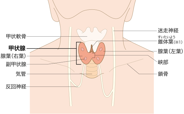 日本治疗甲状腺癌